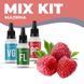 Набор Organic Fruit вкус Малина (30 мл/12 мг)