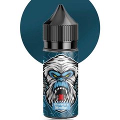 Ароматизатор Flavor Lab FL 350 Blueberry Menthol 30 мл / 50 мг